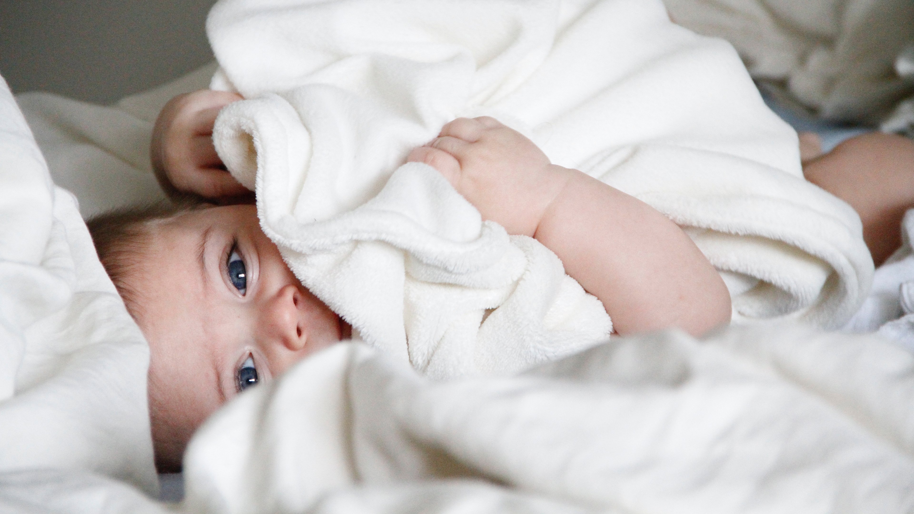 捐卵代怀2014年试管婴儿成功率